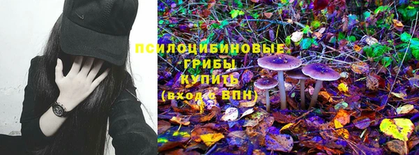 кокс Богданович