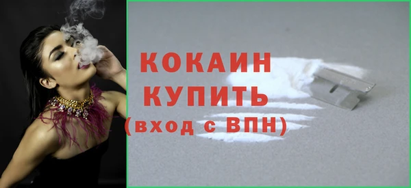 гашик Богородицк