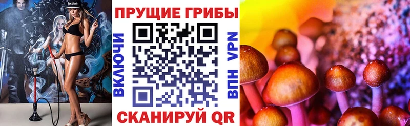 где купить наркоту  Красный Кут  Псилоцибиновые грибы мицелий 